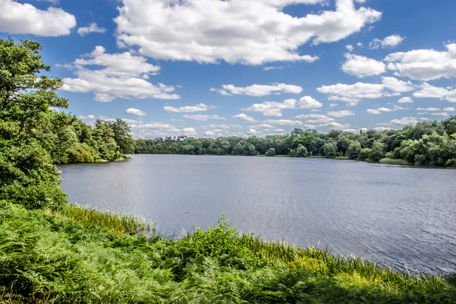 Virginia Water Green Spaces