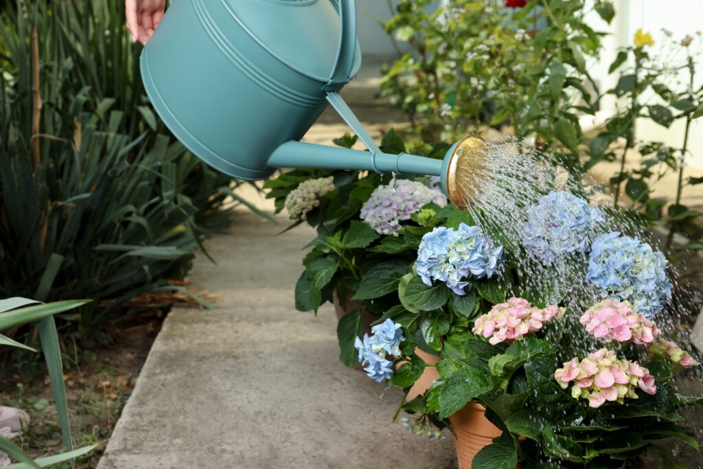 hosepipe ban surrey